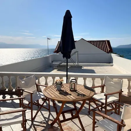 Celine * לוטראקי